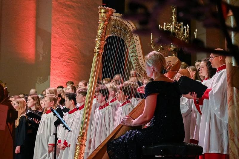 Hello Harp with Broadway Harpist Laura Sherman